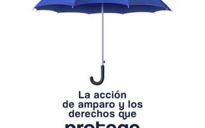 La acción de amparo y los derechos que protege