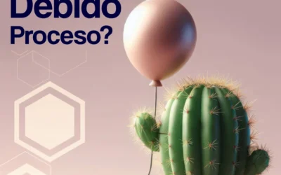 ¿A qué se refiere el Debido Proceso?
