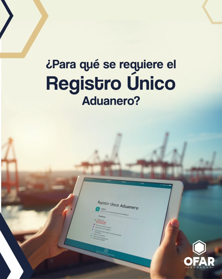 registro unico aduanero (2)