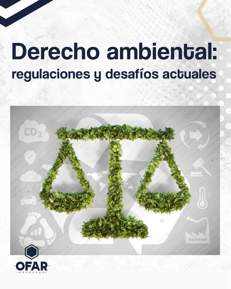 DERECHO AMBIENTAL (2) DERECHO AMBIENTAL