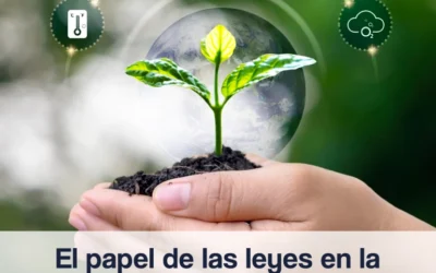 El papel de las leyes en la promoción de la sostenibilidad